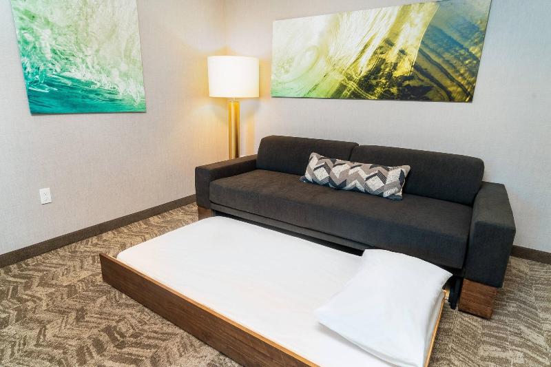 Springhill Suites By Marriott Newark Fremont image