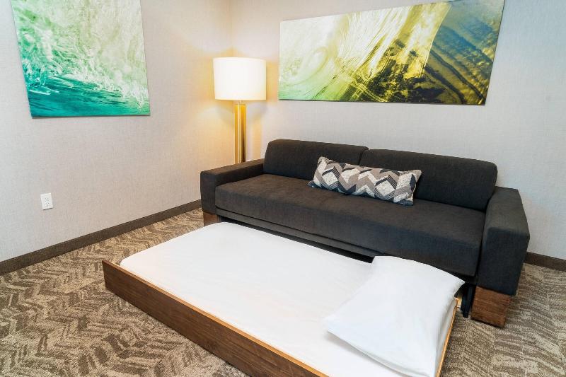 Springhill Suites By Marriott Newark Fremont image