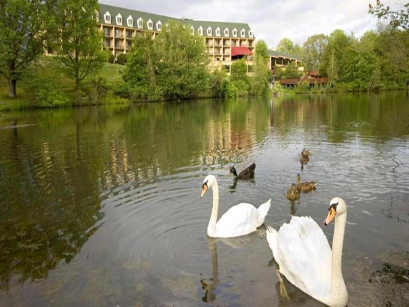 Chateau Resort & Conference Center image