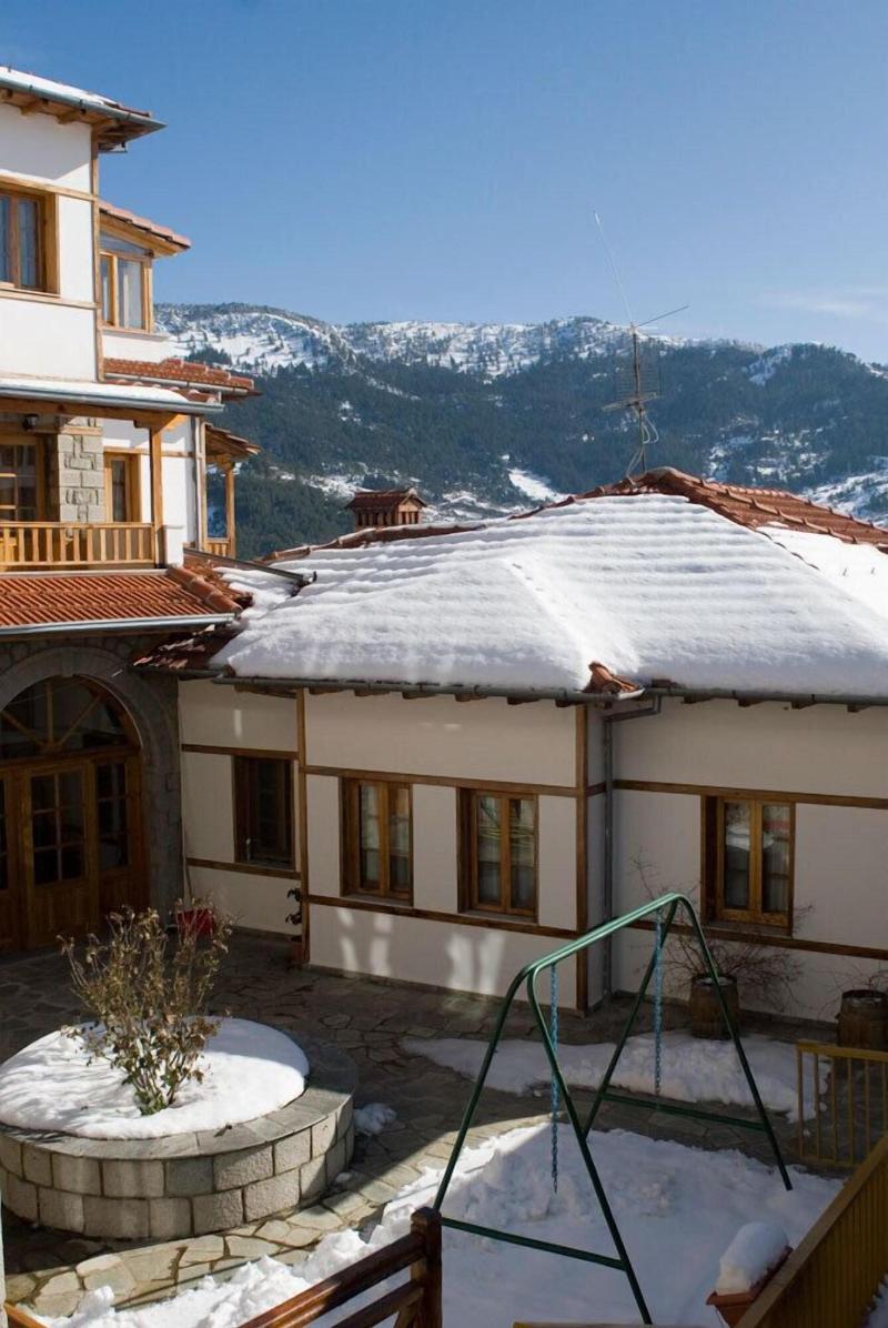 Asteri Metsovo