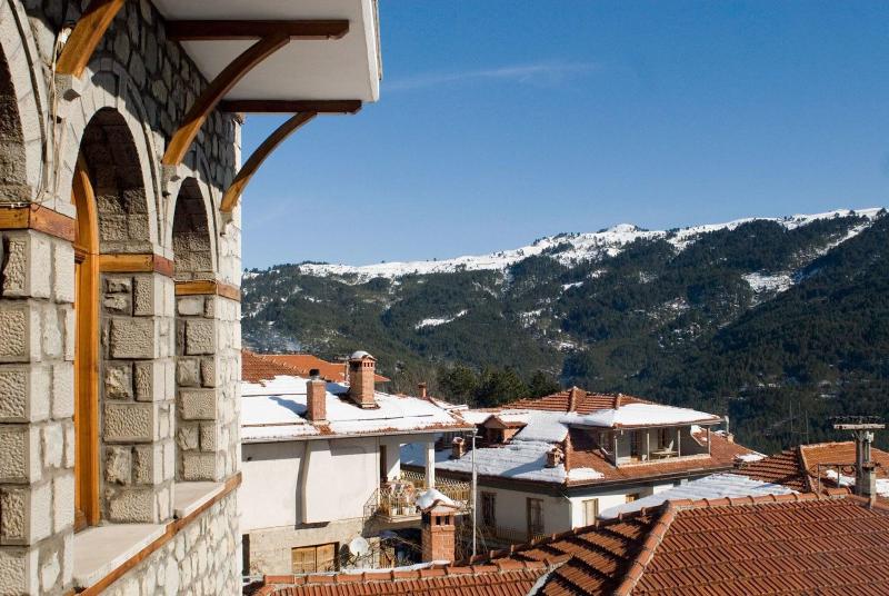 Asteri Metsovo