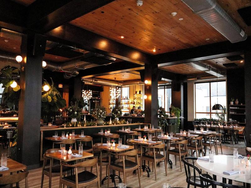 Residence Inn By Marriott Philadelphia Bala Cynwyd image