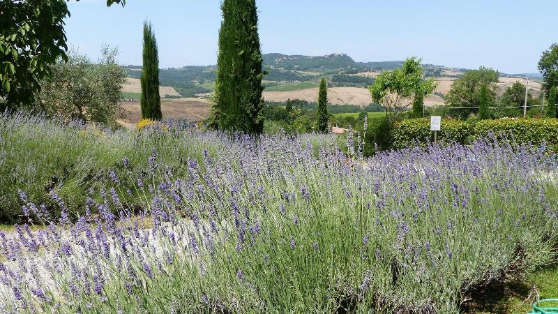 Podere Poggio Al Sole image