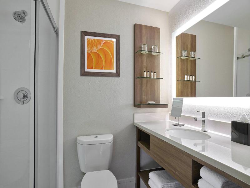 Delta Hotels By Marriott Chicago Willowbrook image