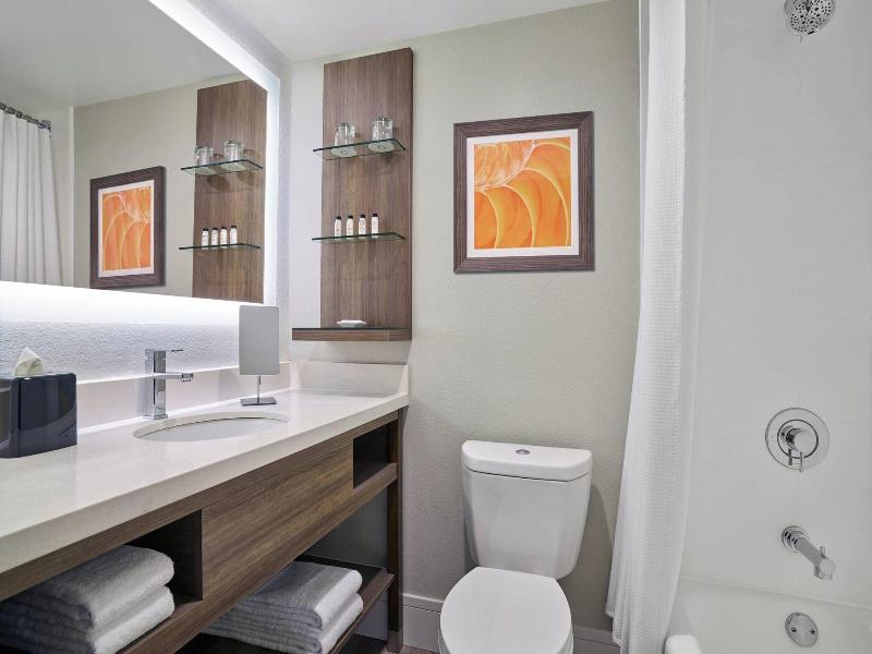 Delta Hotels By Marriott Chicago Willowbrook image