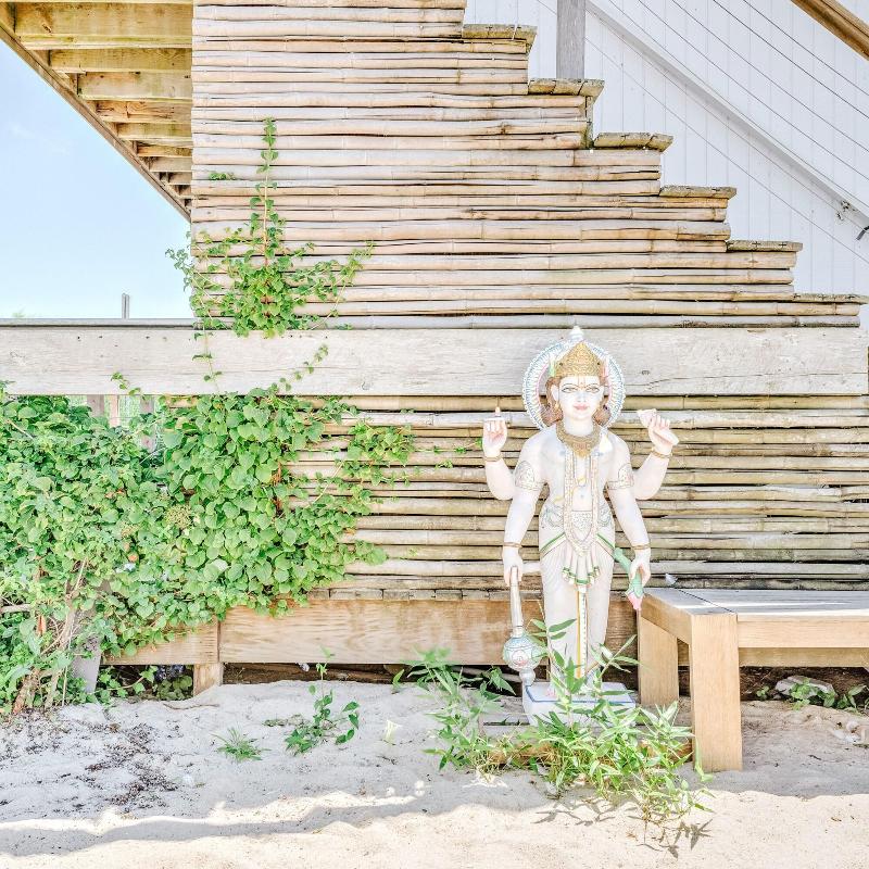 The Surf Lodge image
