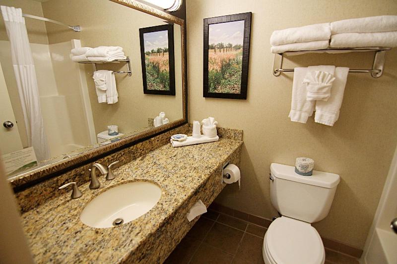 C'mon Inn Hotel & Suites image