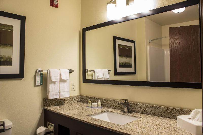 Cobblestone Hotel & Suites – Stevens Point image