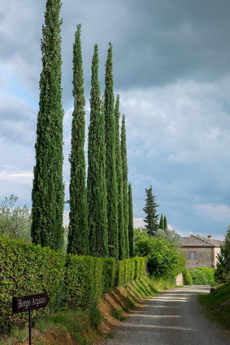 Borgo Argiano image