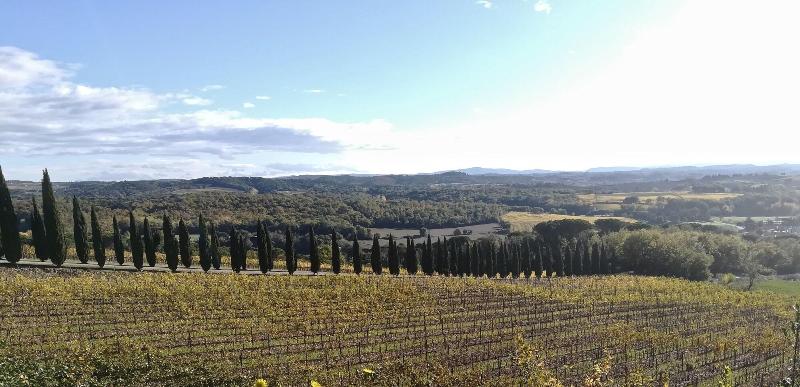 Borgo Argiano image