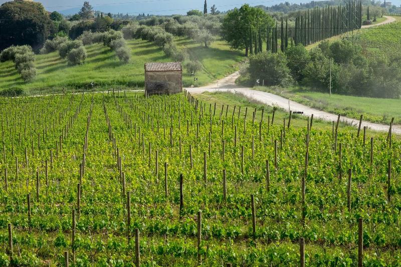 Borgo Argiano image