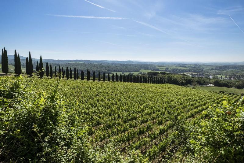 Borgo Argiano image