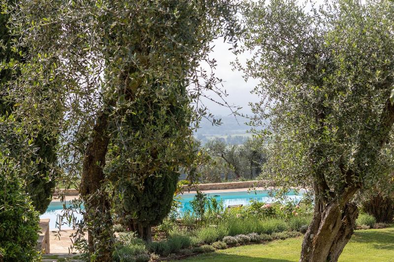 Borgo Argiano image