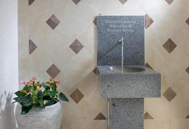 Spa & Kur Hotel Praha image
