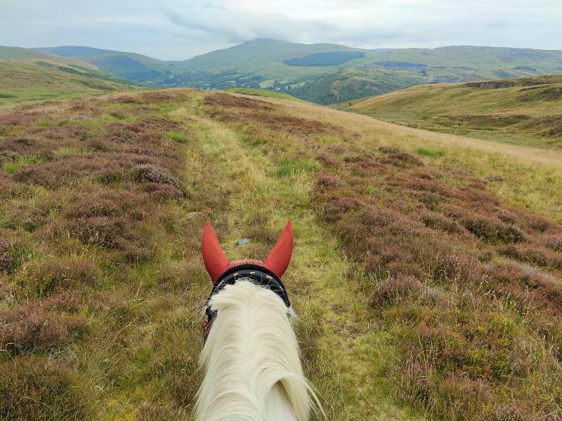Pentre Riding Stable And Accommodation image