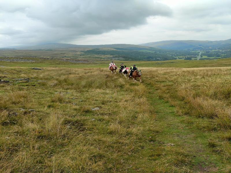 Pentre Riding Stable And Accommodation image