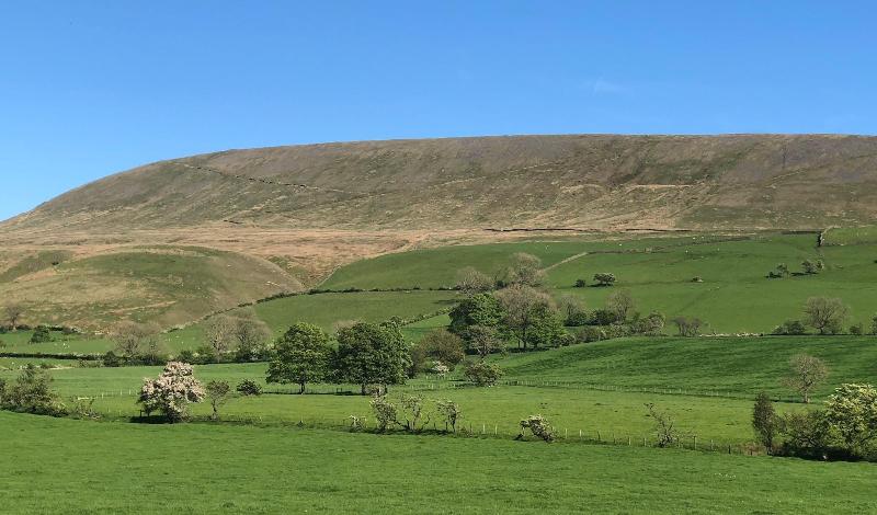 Calf's Head Hotel image