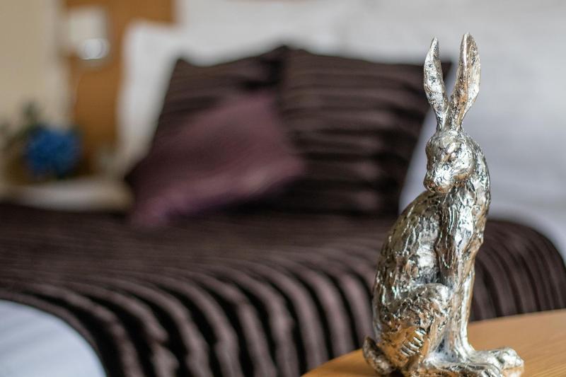 The Pheasant Hotel image