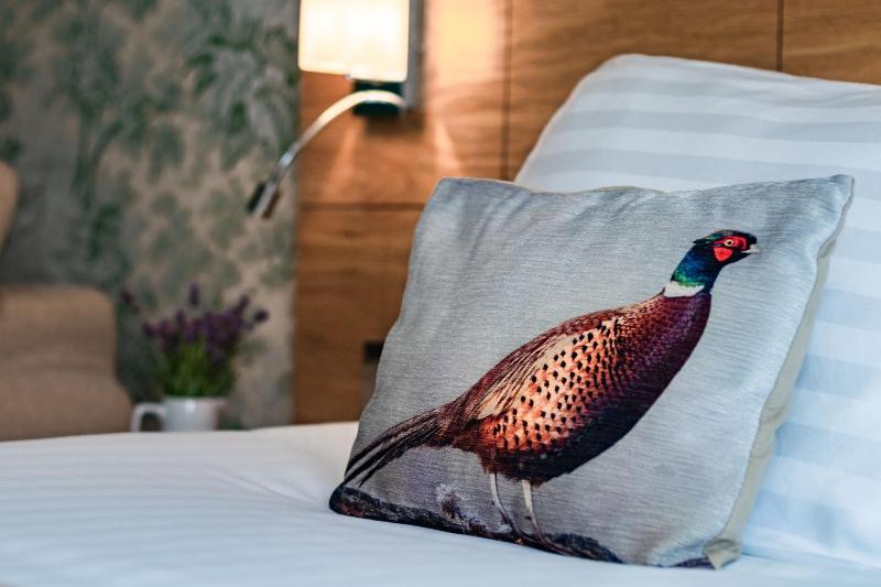 The Pheasant Hotel image
