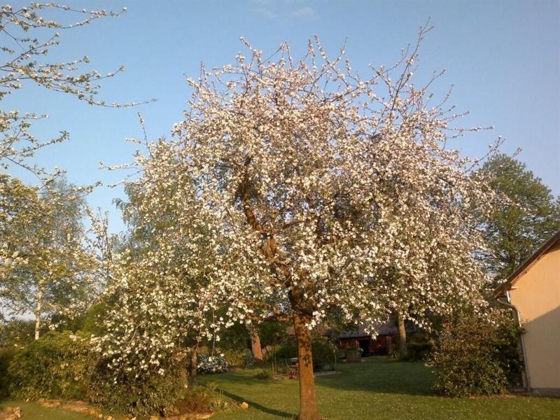 Domaine Les Marronniers image