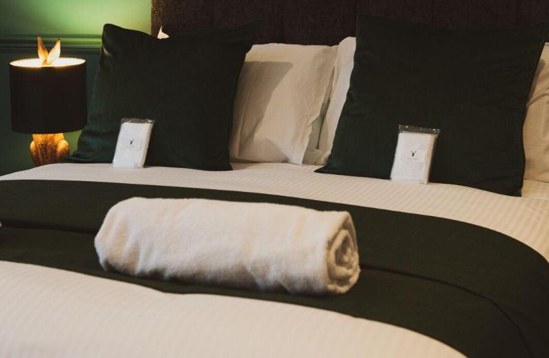 The Stag Hotel image