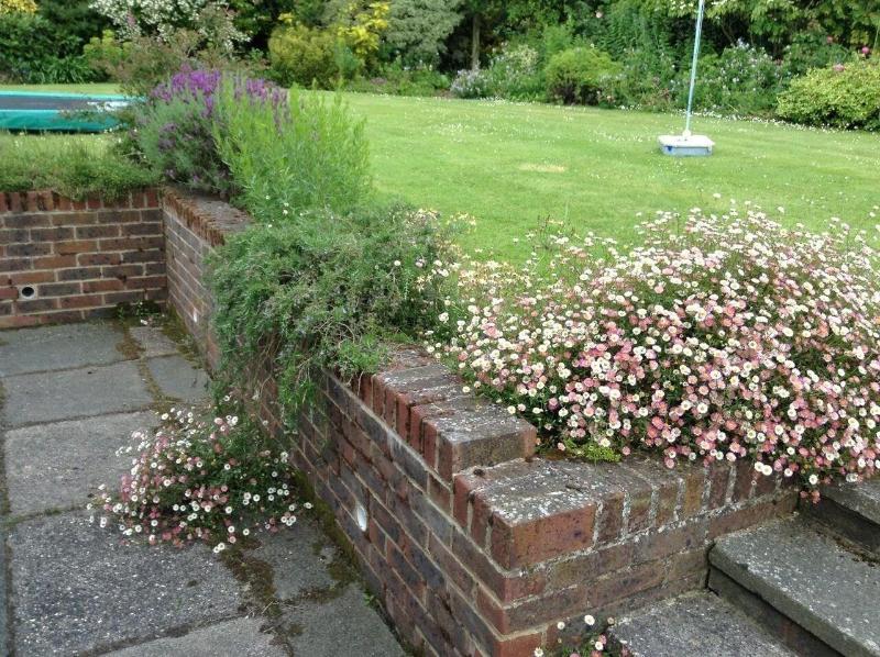 Courtlands Nurseries Bed And Breakfast image