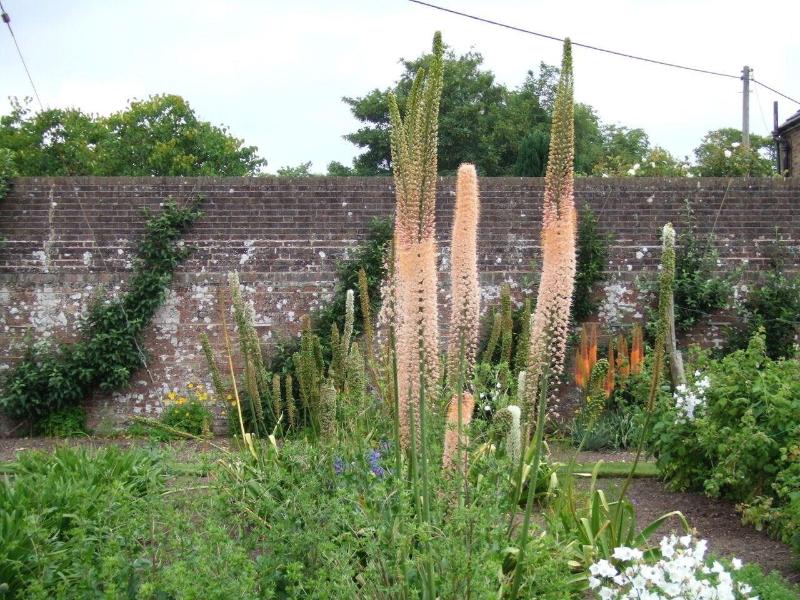 Courtlands Nurseries Bed And Breakfast image