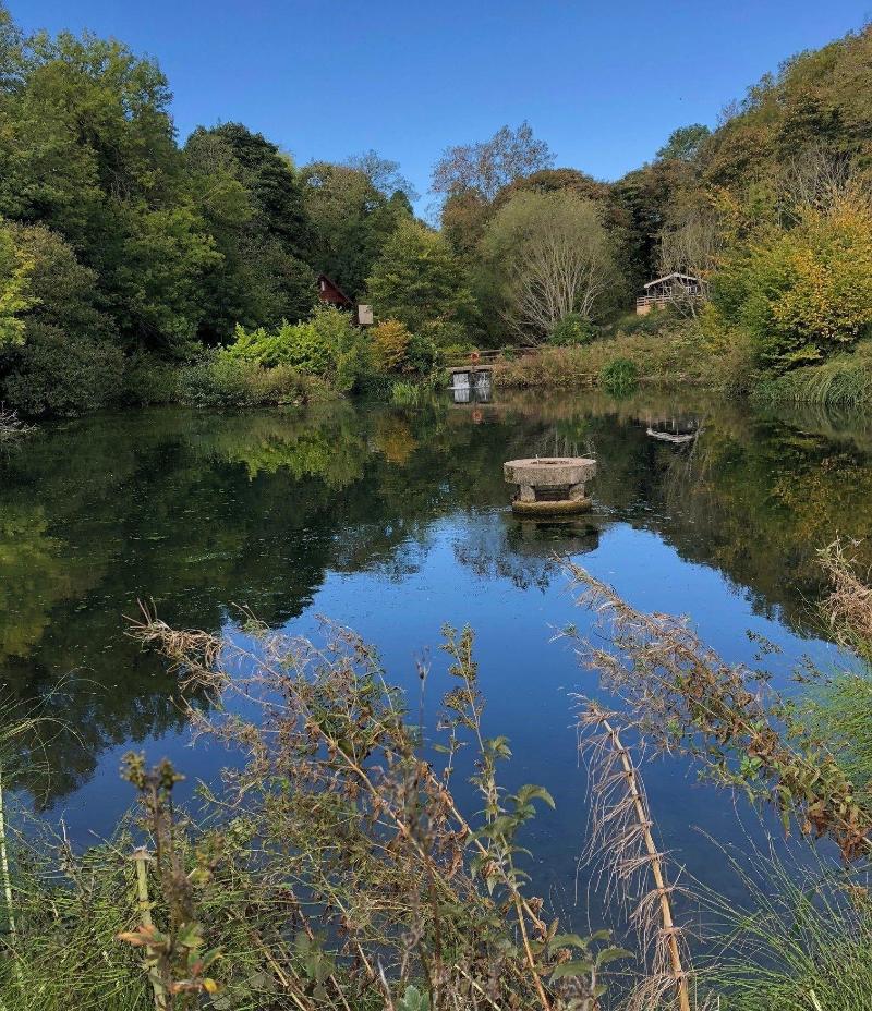 Herons Lake Retreat image