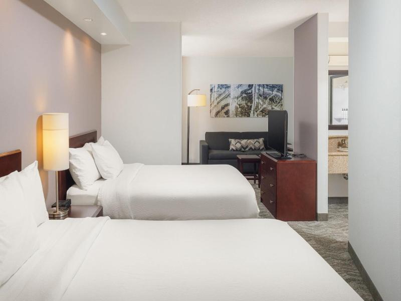 SpringHill Suites by Marriott Knoxville at Turkey  image