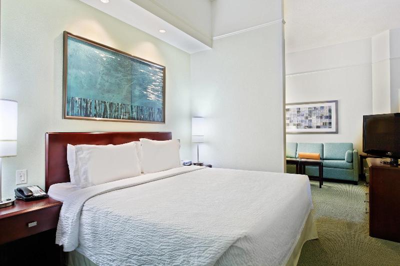 SpringHill Suites by Marriott Knoxville at Turkey  image