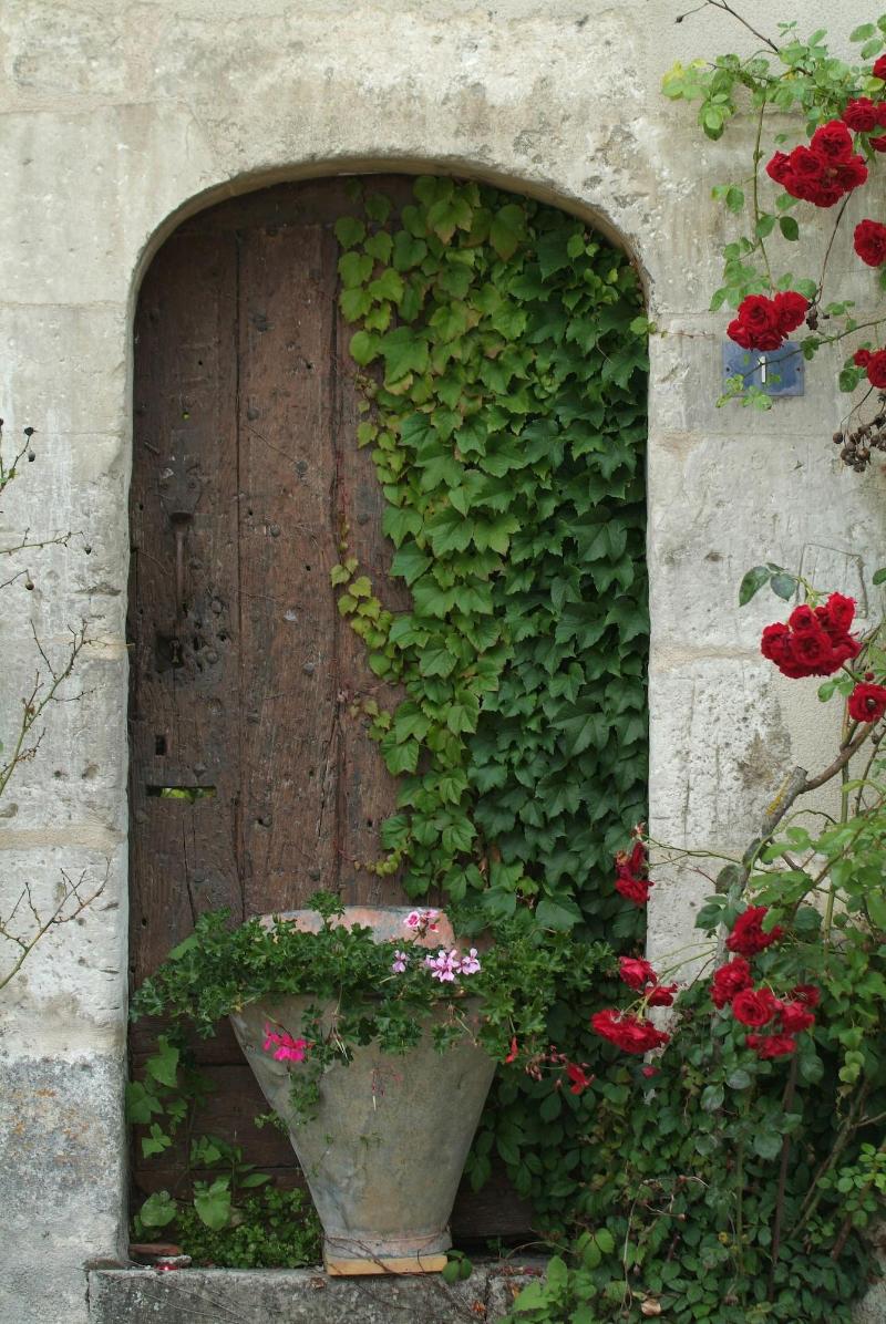 Domaine Borgnat image