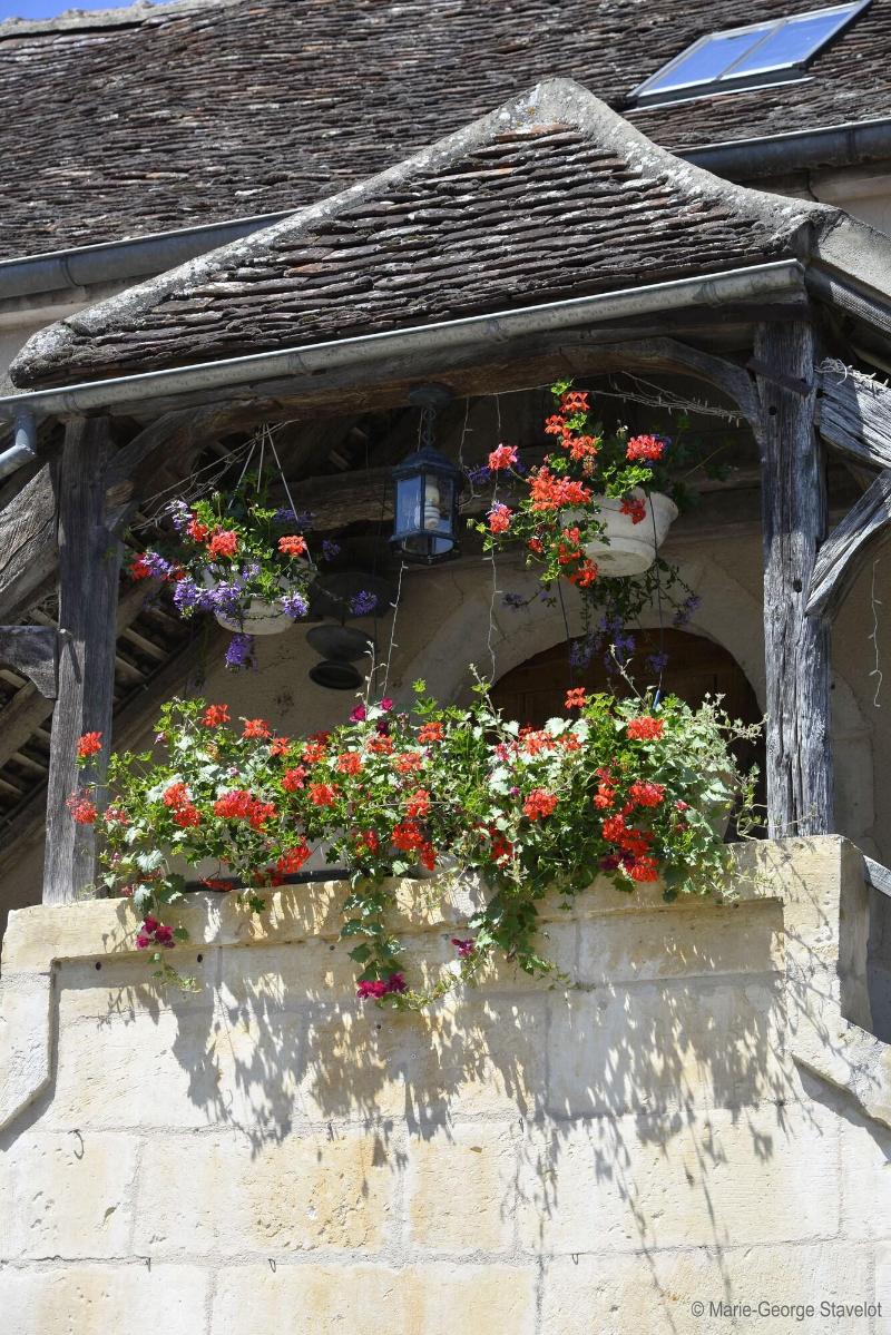Domaine Borgnat image