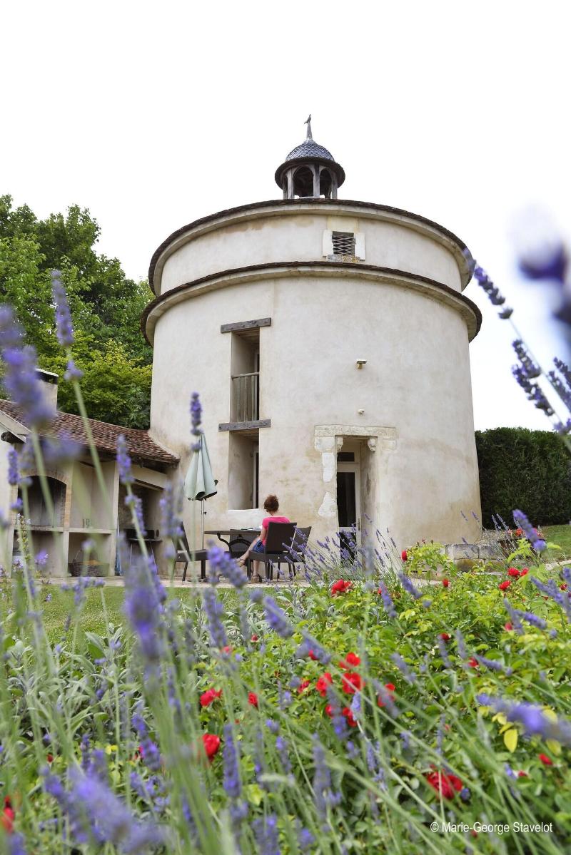 Domaine Borgnat image