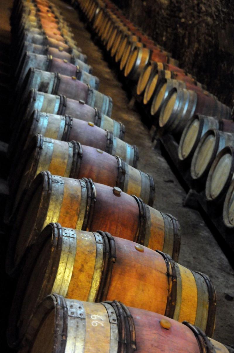 Domaine Borgnat image