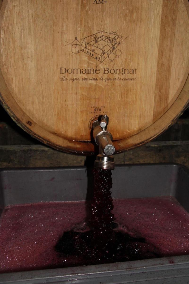Domaine Borgnat image