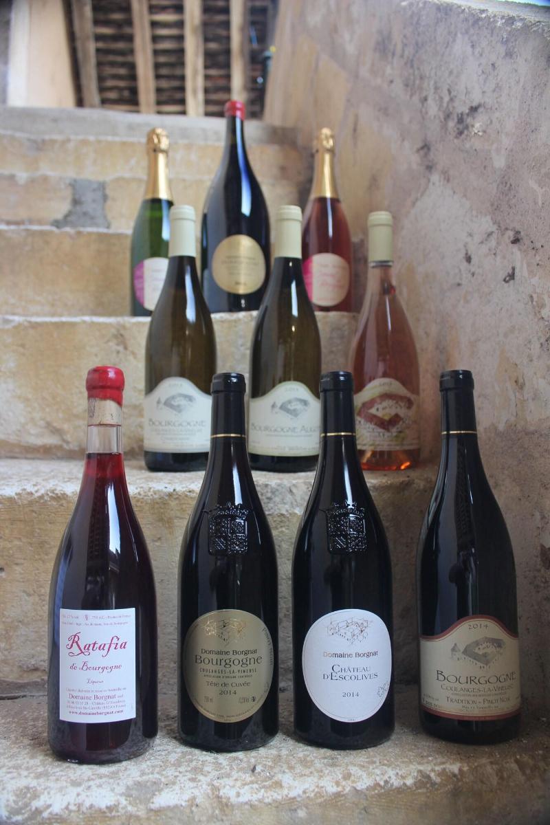 Domaine Borgnat image