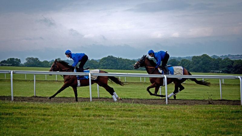 The Jockey Club Rooms image