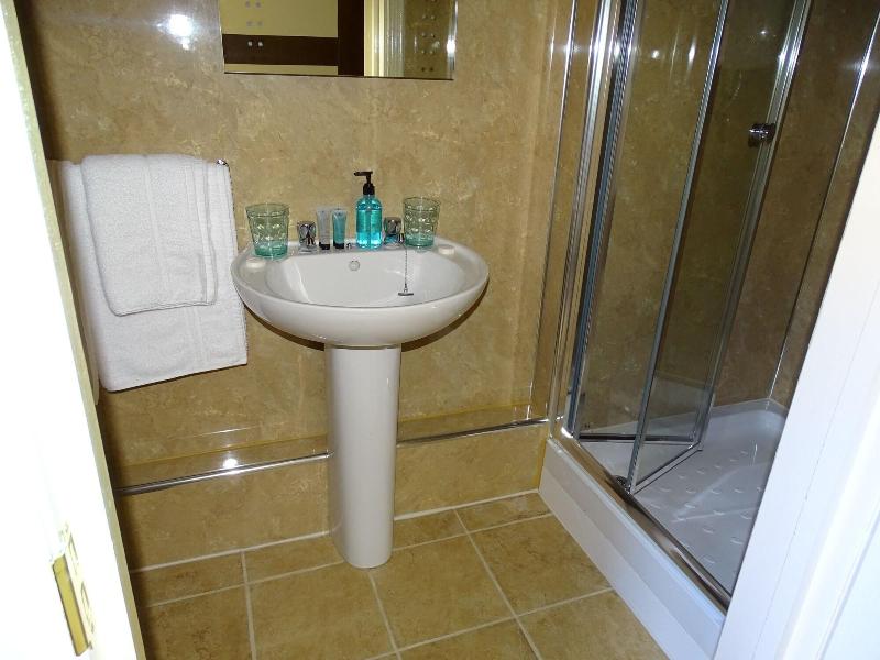 Ellesmere Hotel image