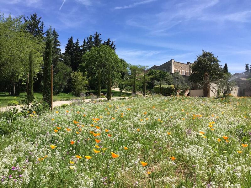 Domaine Les Martins image