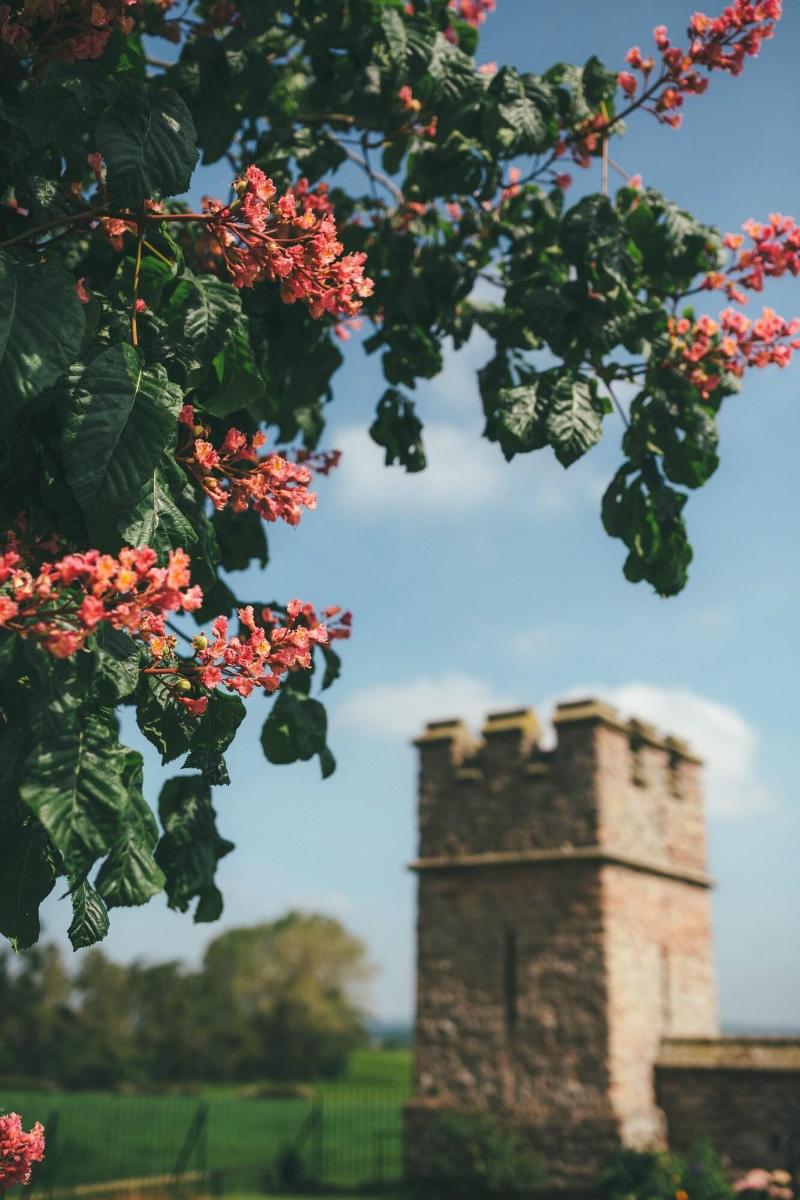 Rowton Castle Hotel image