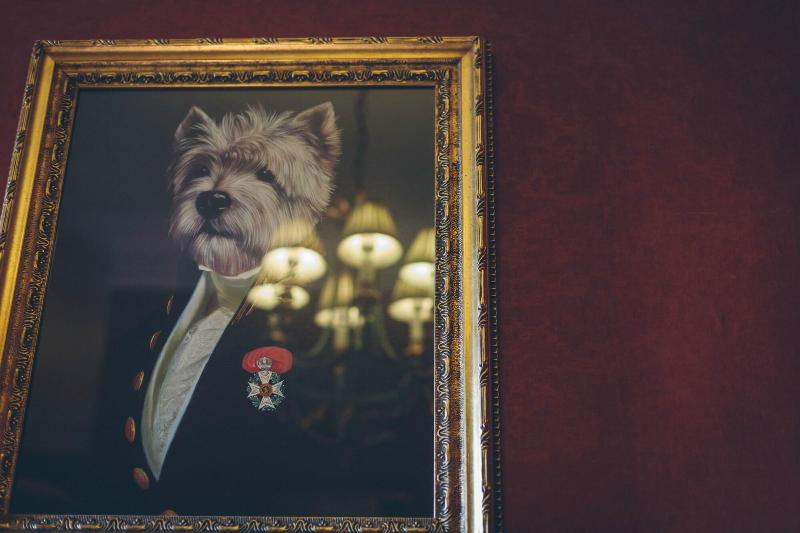 Rowton Castle Hotel image