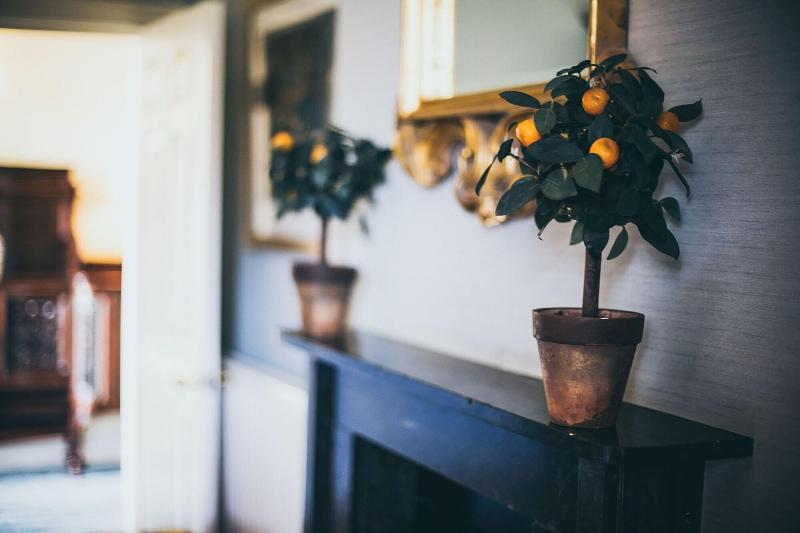 Rowton Castle Hotel image