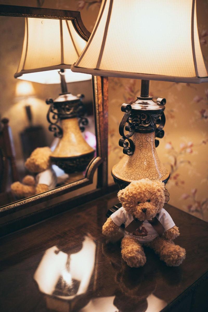 Rowton Castle Hotel image
