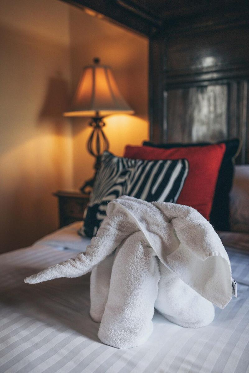 Rowton Castle Hotel image