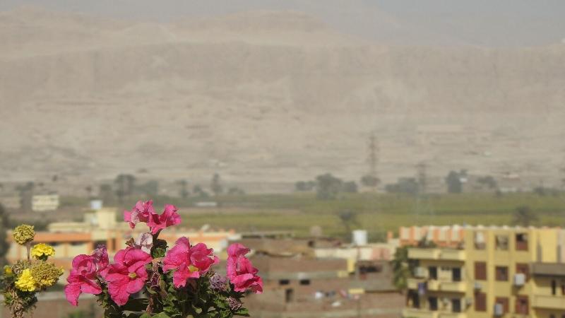Thebes Hotel Luxor image