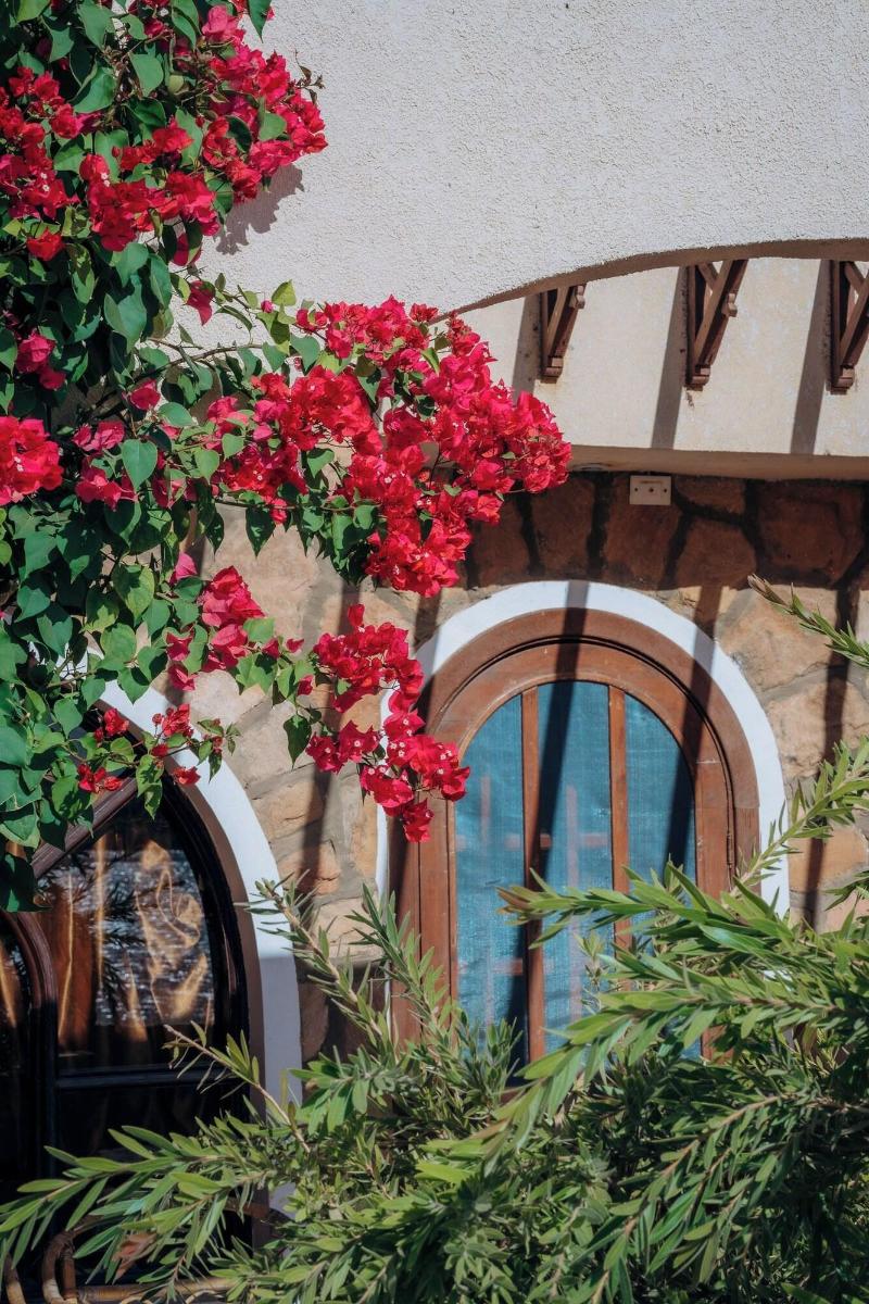 Seti Abu Simbel Hotel image
