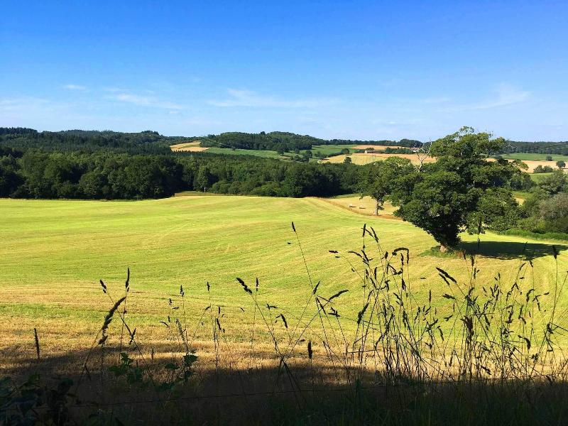 Domaine Les Filloux image