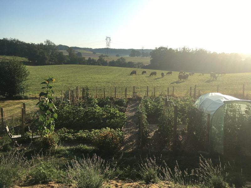 Domaine Les Filloux image