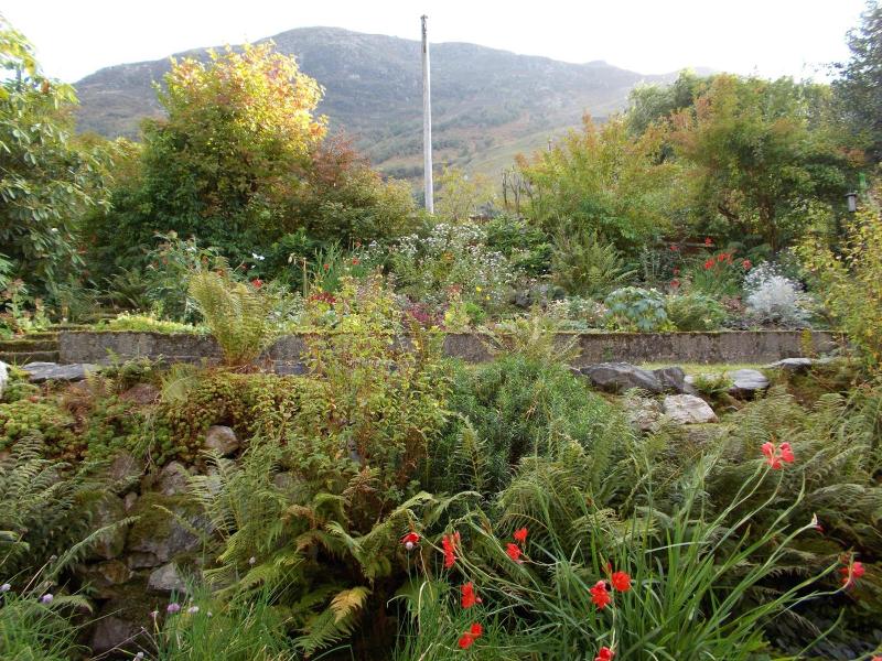 Tigh Na Cheo Guest House image