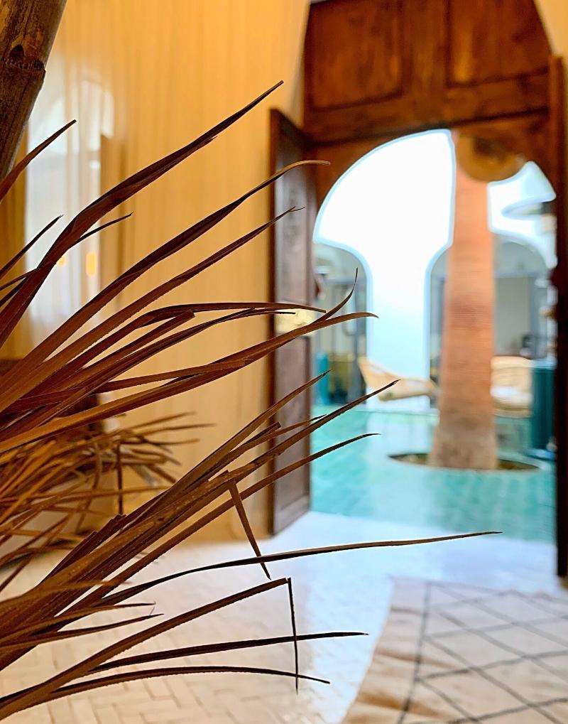 Riad Yasaman image